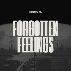Forgotten Feelings
