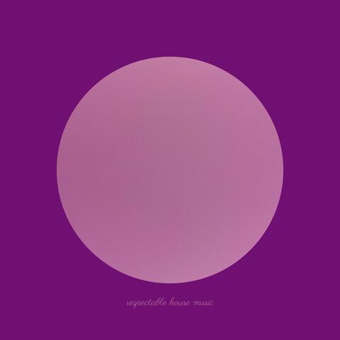 Respectable House Music