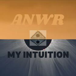 My Intuition