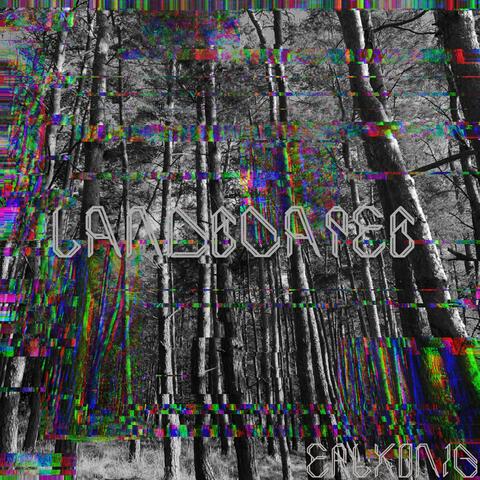 LANDSCAPES