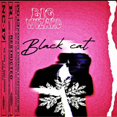 Black cat
