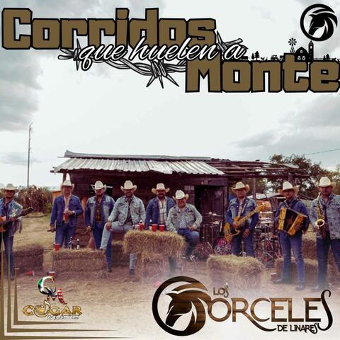 Las cuatro carreras