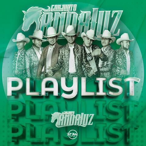 Playlist