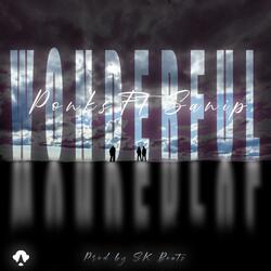 Wonderful (feat. Sanip)