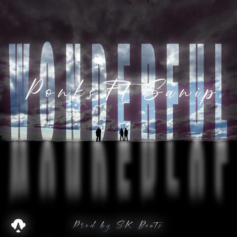 Wonderful (feat. Sanip)