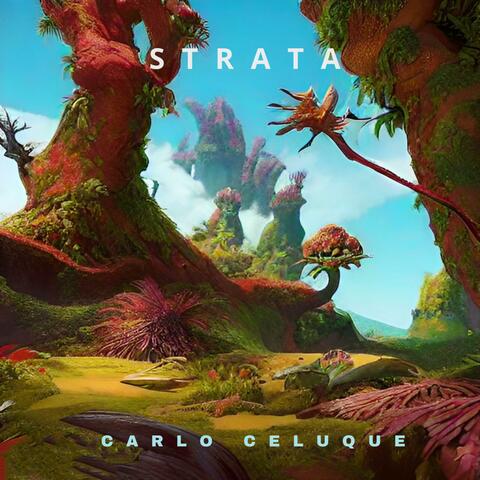 STRATA