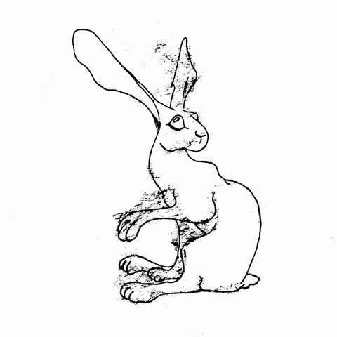 The White Hare