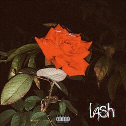 lash