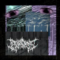 carcass disposal,