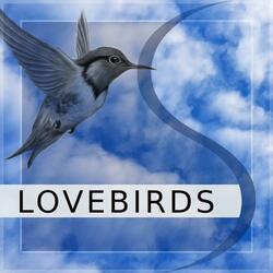 Lovebirds