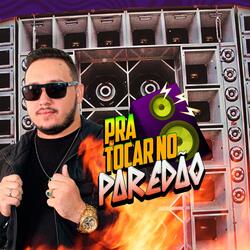 Pinto Que Anda Com Pato