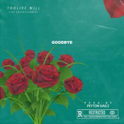 GoodBye (feat. Peyton Hails)