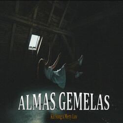 Almas Gemelas (feat. Mery Lov)