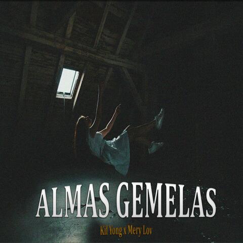 Almas Gemelas (feat. Mery Lov)