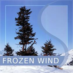 Frozen Wind