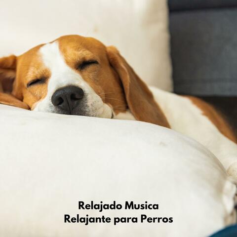San Sebastian del Perro