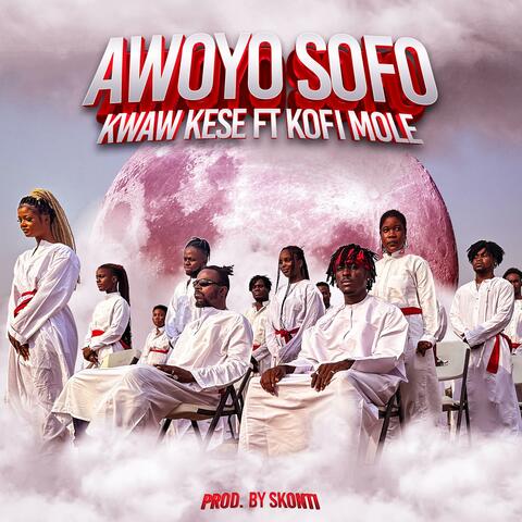 Awoyo Sofo (feat. Kofi Mole)