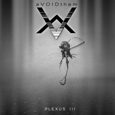 Plexus III