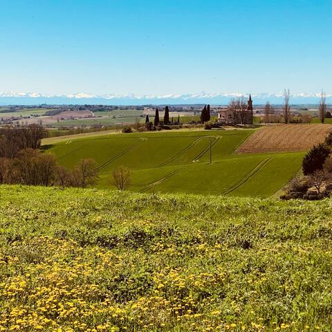 Mon petit village