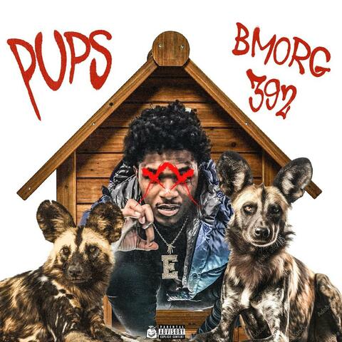 Pups
