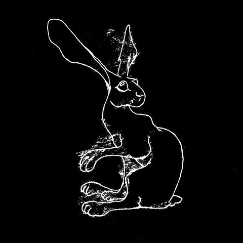 The Black Hare