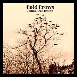 Cold Crows