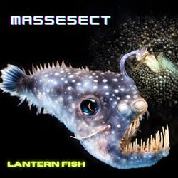 Lantern Fish