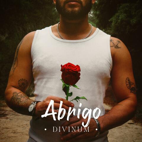 Abrigo