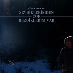 SEVDİKLERİMDEN ÇOK BEZDİKLERİM VAR