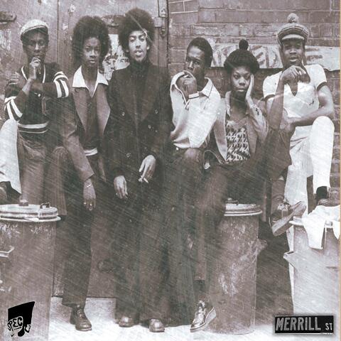 Africans & Afros : The Black History