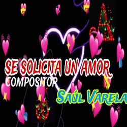 Se Solicita Un Amor