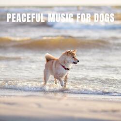 Oceanic Lullaby For Dog