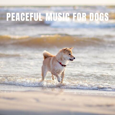 Peaceful Music For Dogs