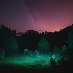 Eudaimonia