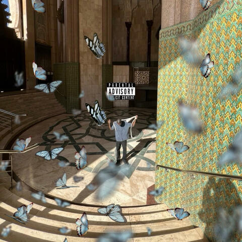 Butterfly Freestyle