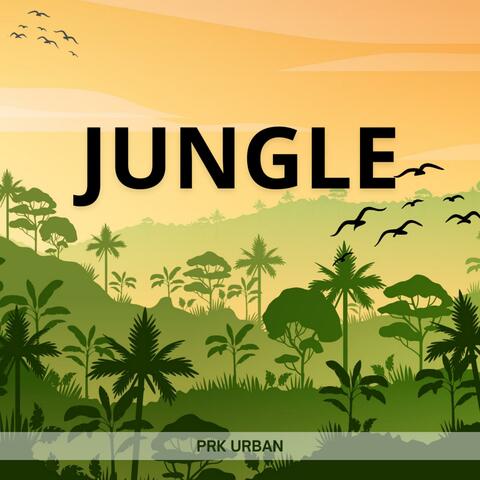 Jungle