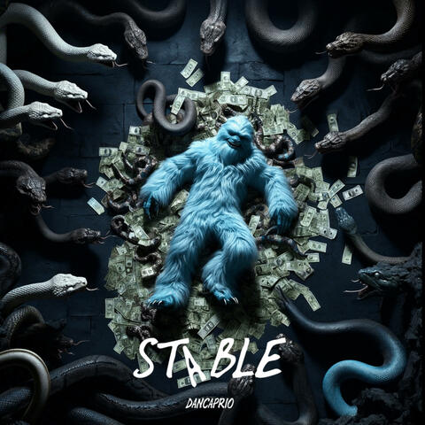 Stable