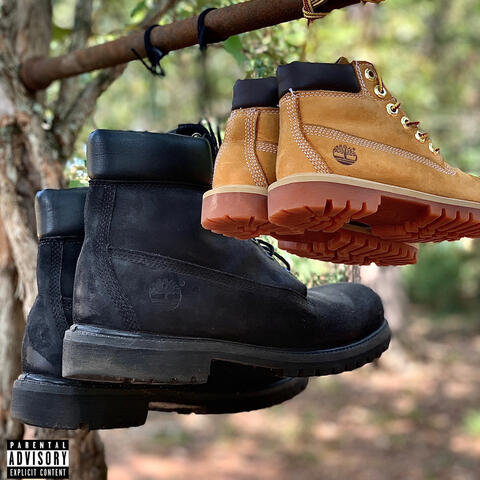 Timberlands in the Summer 2
