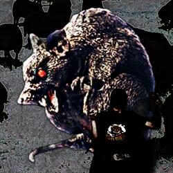 black sheep