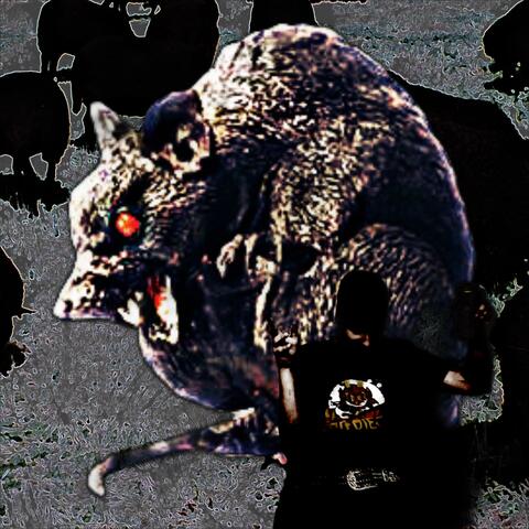 black sheep
