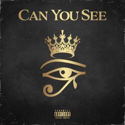 Can You See