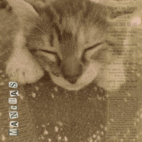 manchas