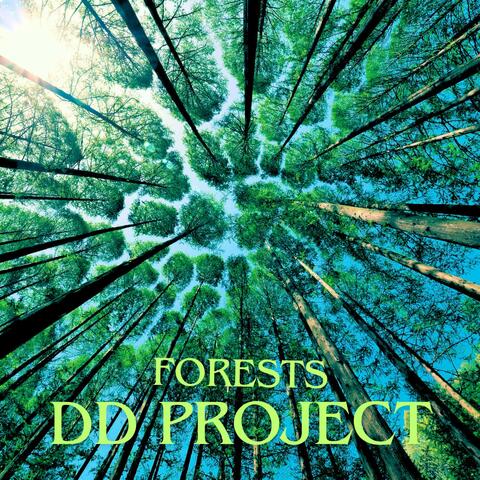 Forests