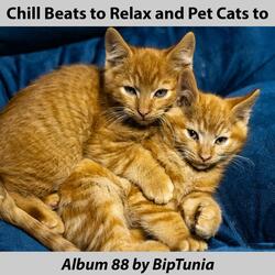 Chill Beats to Relax and Breed Cats to