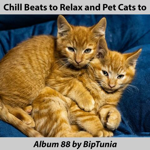 Chill Beats to Relax and Pet Cats to