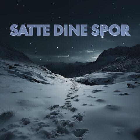 Satte Dine Spor