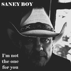 I'm Not The One For You