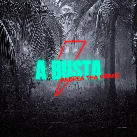 A Busta
