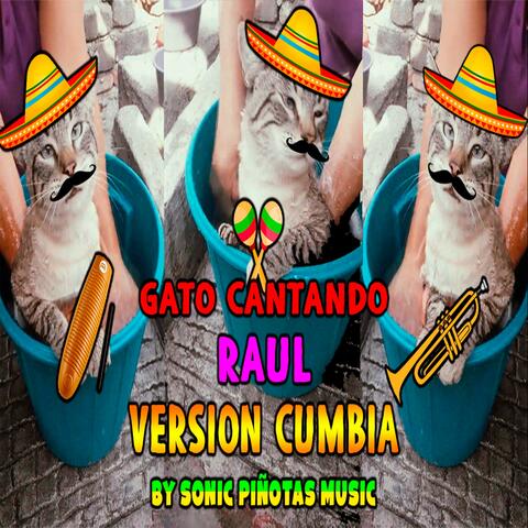 Sonic Piñotas Music