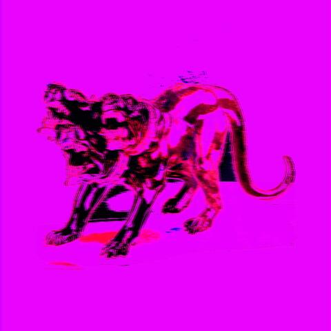 My Dog's Name Is Cerberus